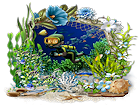 thumbnail 28
